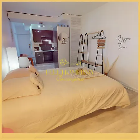 Nid Des Vosges - Cozy, Balcony, Queen Size Bed & Centre * Nancy