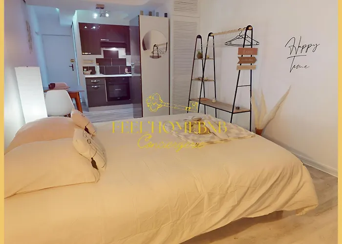 Nid Des Vosges - Cozy, Balcony, Queen Size Bed & Centre * Nancy